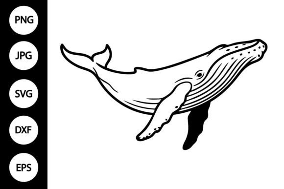 Whale Outline SVG: Graphics for Crafts & Content